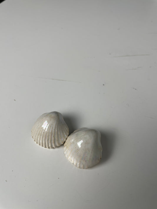 Vintage Seashell Clip-On Earrings